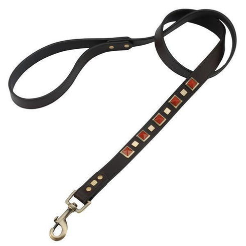 Red Jasper Rock And Roll Dog Leash