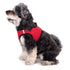 Red Sidekick Dog Harness
