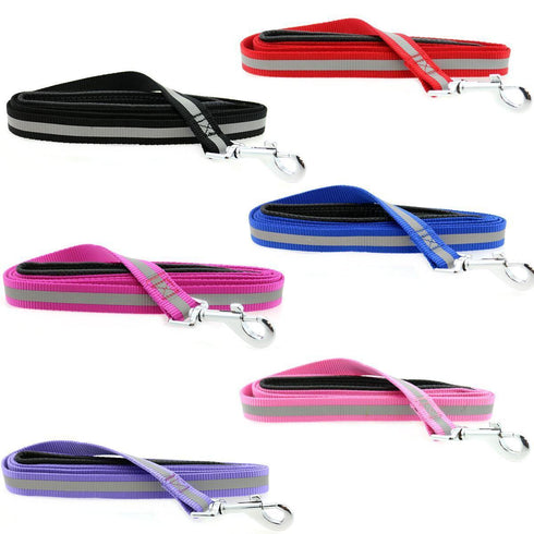 Reflective Nylon Dog Leash
