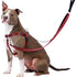 Reflective Red Freedom No-Pull Dog Harness