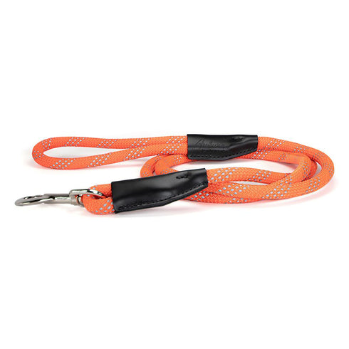Reflective Rope Dog Leash Orange