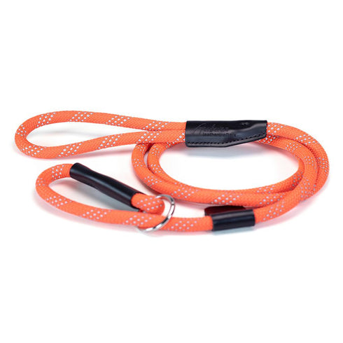 Reflective Slip Rope Dog Leash Orange