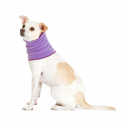 Reversible Snood Dog Neck Warmer Lavender/Eggplant