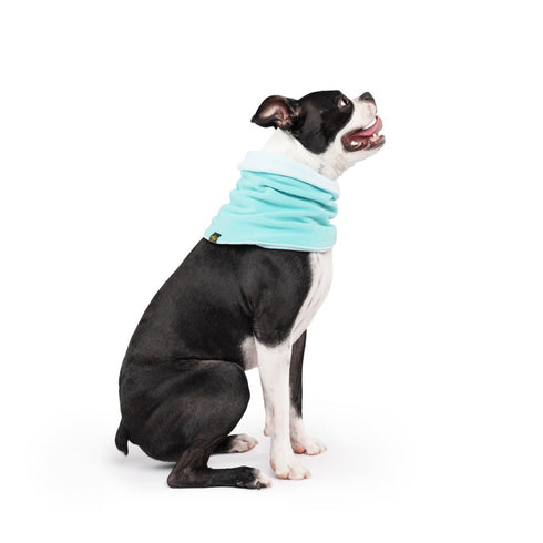 Reversible Snood Dog Neck Warmer Turquoise/Robin Egg