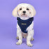 Ritefit Dog Harness