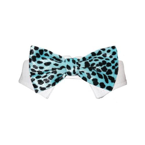 Roberto Dog Bow Tie Collar Aqua