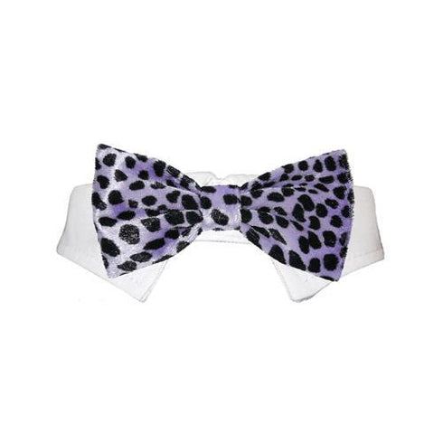 Roberto Dog Bow Tie Collar Purple