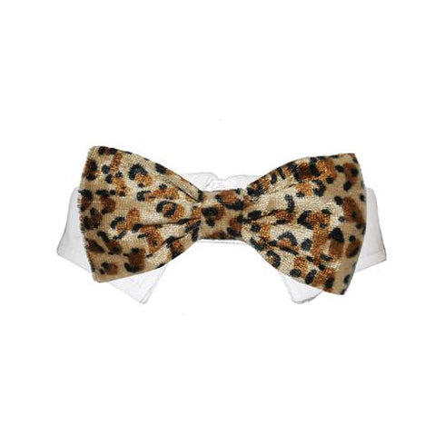 Roberto Dog Bow Tie Collar Tan