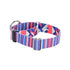 Rocky EarthStyle Dog Collar