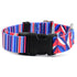 Rocky EarthStyle Dog Collar