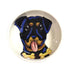 Rottweiler 5 Dog Bowl