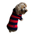 Rugby Paw Dog Sweater Blue/Green XSmall