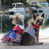 Sailor Girl Dog Dress/Matching Leash Large