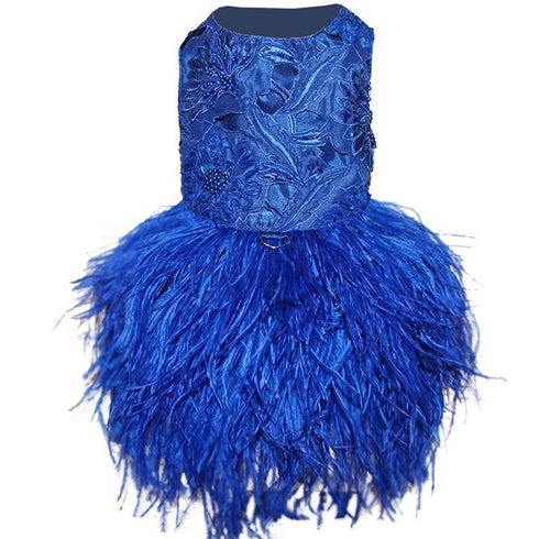 Sapphire Blue Embroidered Feather Dog Dress
