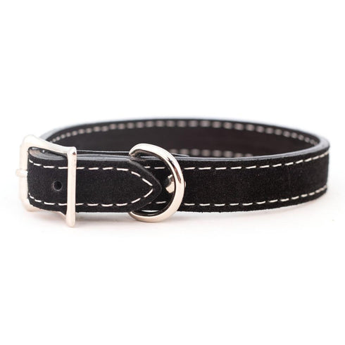 Saratoga Suede Dog Collar Black