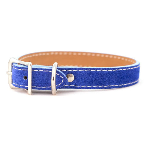 Saratoga Suede Dog Collar Blue