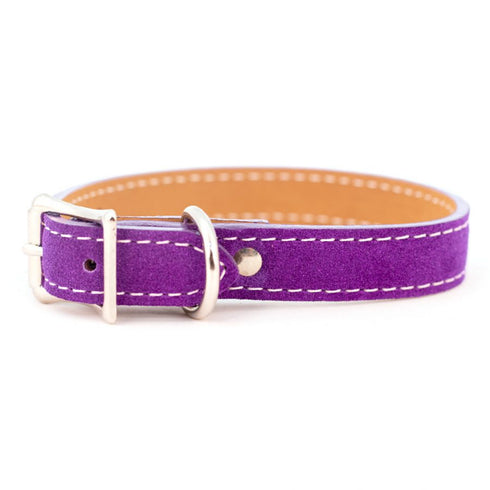 Saratoga Suede Dog Collar Purple