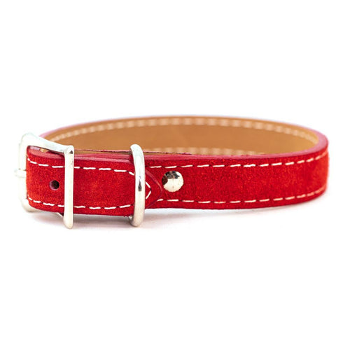 Saratoga Suede Dog Collar Red