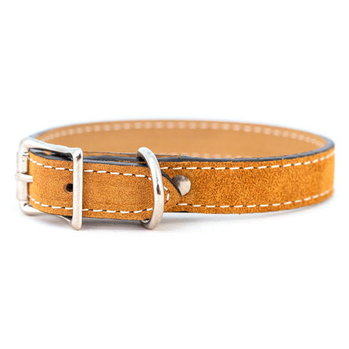 Saratoga Suede Dog Collar Toast