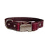 Seneca Adjustable Dog Collar