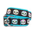 Skeletons Dog Collar Black