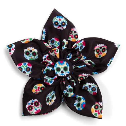 Skeletons Dog Collar Flower Black