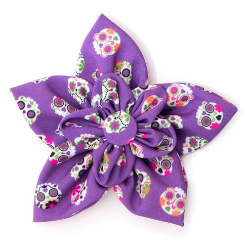 Skeletons Dog Collar Flower Purple