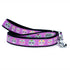 Skeletons Dog Collar Purple