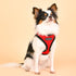 Soft Superior Dog Harness E Red XLarge