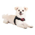 Soft Superior Dog Harness X Red XL