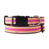South Beach Dog Collar Small 1" Traditional Buckle