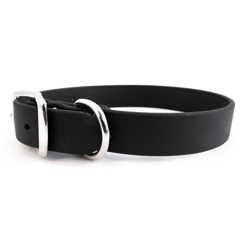 Sparky's Choice Buckle Dog Collar Black