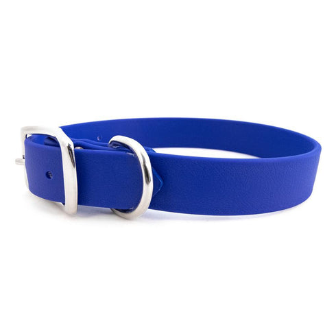 Sparky's Choice Buckle Dog Collar Blue