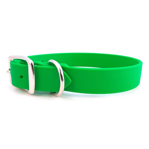 Sparky's Choice Buckle Dog Collar Green