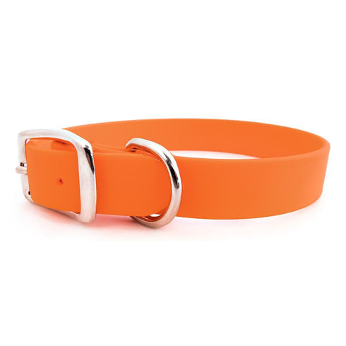 Sparky's Choice Buckle Dog Collar Orange