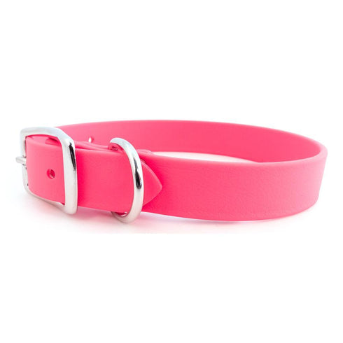 Sparky's Choice Buckle Dog Collar Pink
