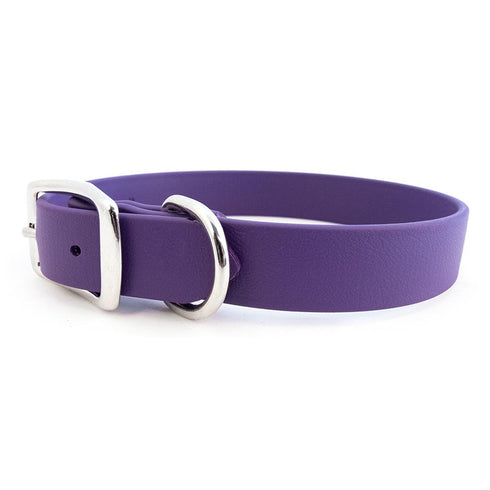 Sparky's Choice Buckle Dog Collar Violet
