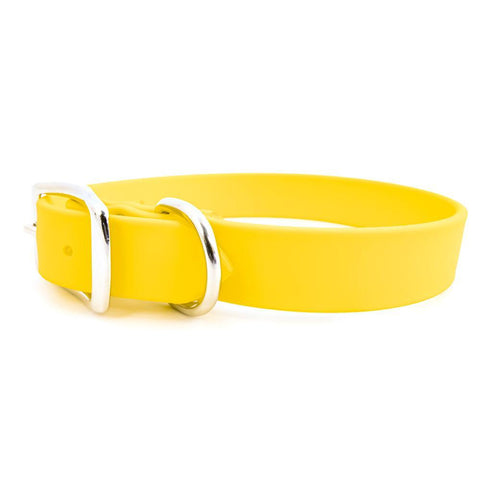 Sparky's Choice Buckle Dog Collar Yellow