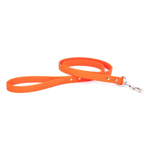 Sparky's Choice Dog Leash Orange