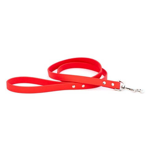 Sparky's Choice Dog Leash Red