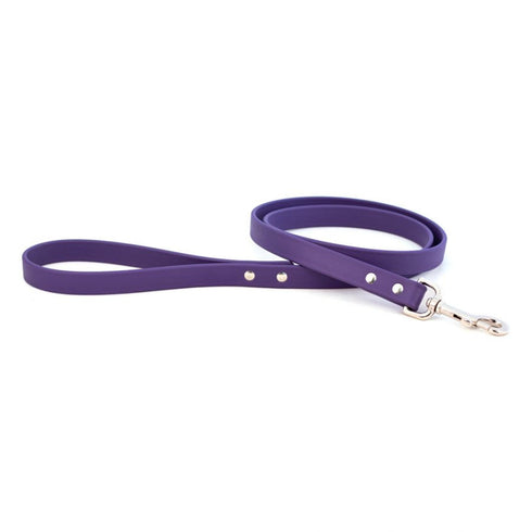 Sparky's Choice Dog Leash Violet