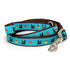 Squirrelly Dog Collar
