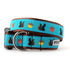 Squirrelly Dog Collar
