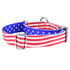 Star Spangled EarthStyle Dog Collar