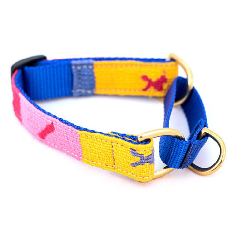 Starry Day Mango Martingale Dog Collar