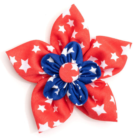Stars Dog Collar Flower