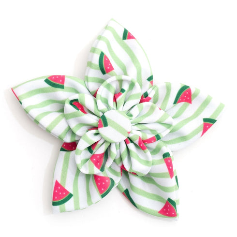 Stripe Watermelon Dog Collar Flower