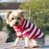 Striped Dog Polo Flame Scarlet Red/White 3XL