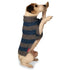 Striped Dog Sweater Blue And Gray