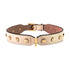 Stud Screw Leather Dog Collar Antique